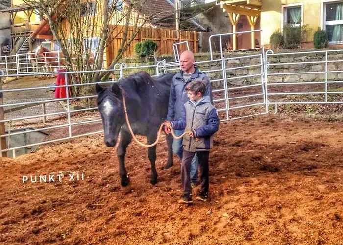 Apartament 4 Burghaslach